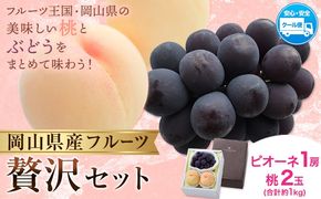 【2026年発送先行予約】桃・ピオーネ詰め合わせ 約1kg クール便 冷蔵便 桃 もも 葡萄 ブドウ ぶどう ピオーネ フルーツ セット 晴れの国おかやま館 《2026年8月下旬-9月中旬頃出荷》 フルーツ 果物 果実 岡山県 矢掛町---ofn_chokmp_h8_25_16500_10---