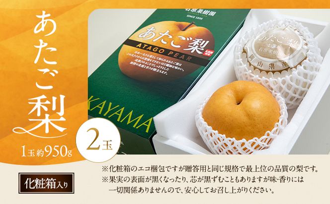 梨 2026年 先行予約 あたご梨 2玉 (1玉 約950g) 化粧箱【11月下旬～12月中旬頃発送】 ナシ なし 岡山県産 国産 フルーツ 果物 ギフト 石原果樹園 