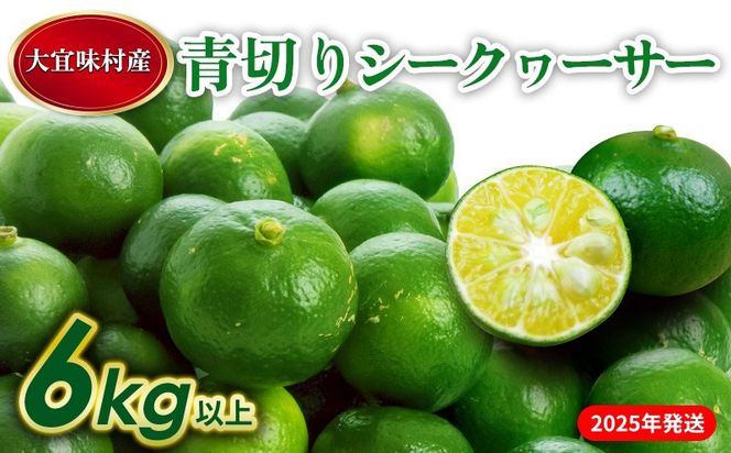 yꌧXzy2025NzX@؂V[N[T[ 6kg  Ȃ X ʕ  ʎ V[N[T[ [[[ ؂ ꌧY Yn  lC Hi  Y Y n ΂ mr`