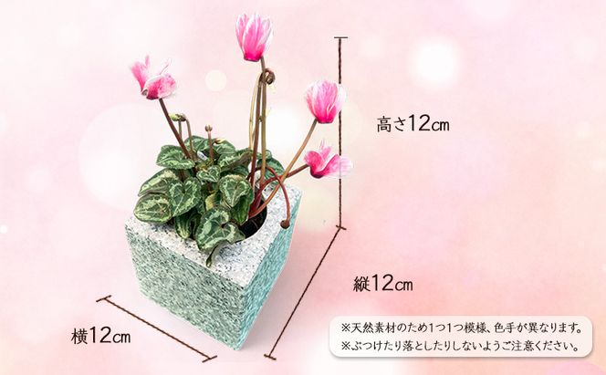 自然石フラワーポット サイズ(約)縦12cm×横12cm×高さ12cm フラワーポット 角型 自然石 植木鉢