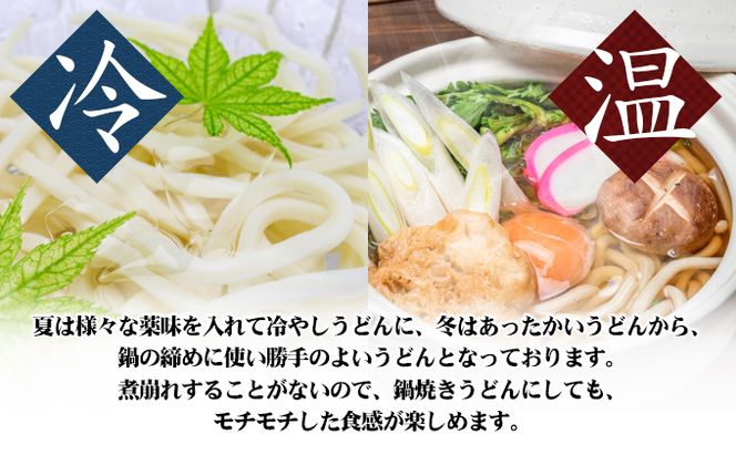 【 小豆島 】小豆島手延べ半生うどん（200g×10袋） 麺類 