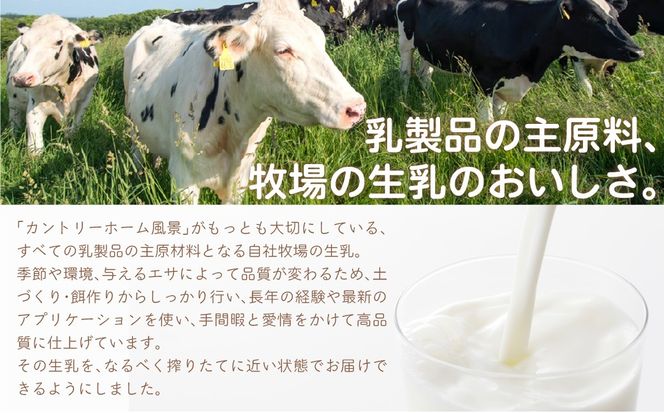 【定期6ヶ月】のむヨーグルト900g 風景の牛乳900ml 各3本 SKB101