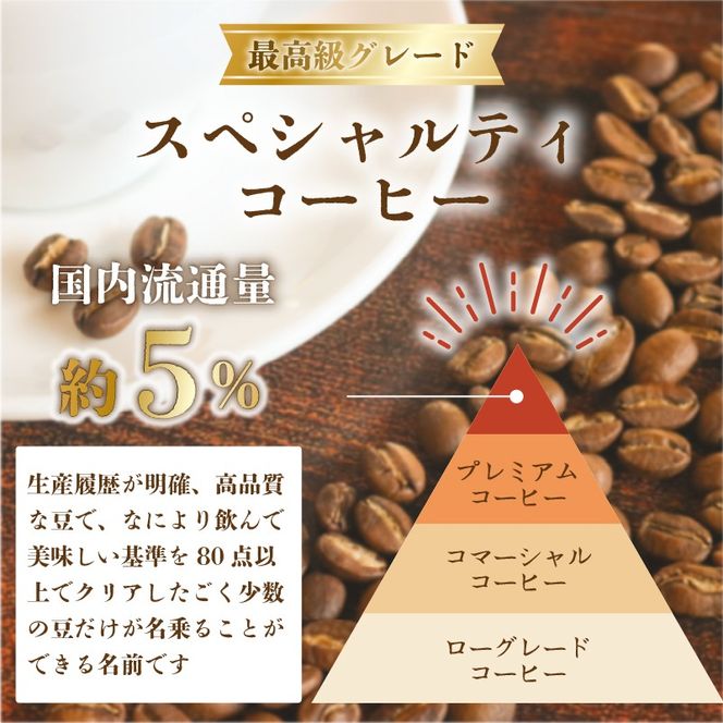 【6ヶ月定期便】品種おまかせ スペシャルティコーヒー お試し100g コーヒー コーヒー豆 [yoshino002_06]