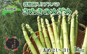 令和8年産　はなまる農園の乳酸菌入り アスパラ【さぬきのめざめ1kg】太め2L～３L アスパラガス 野菜 朝採れ 旬野菜 季節野菜 産地直送 農家直送 クール便 バーベキュー BBQ サラダ 肉巻き おかず 