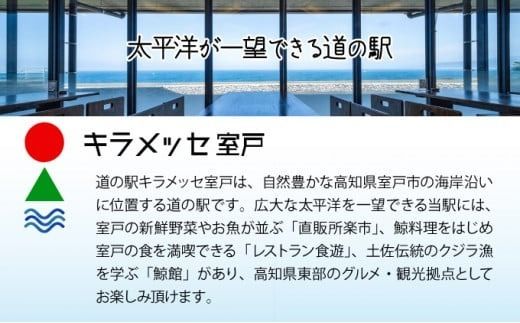 季節のお野菜詰め合わせセット 定期便 2回 旬のおまかせ 詰め合わせ 産地直送 季節の新鮮 野菜 定期便 果物 セット じゃがいも きゅうり トマト とうもろこし アスパラガス 玉ねぎ 蓮根 等 ふるさと納税 高知県 室戸市 rk051