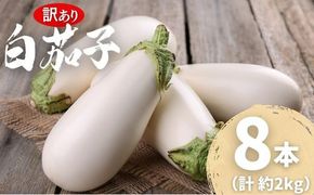 【訳あり】農家直送 白茄子 土佐の美味茄子の新鮮ナス 8本 2kg 野菜 なす ナス 常温 小袋 国産 夏野菜 茄子 小分け 旬 高知