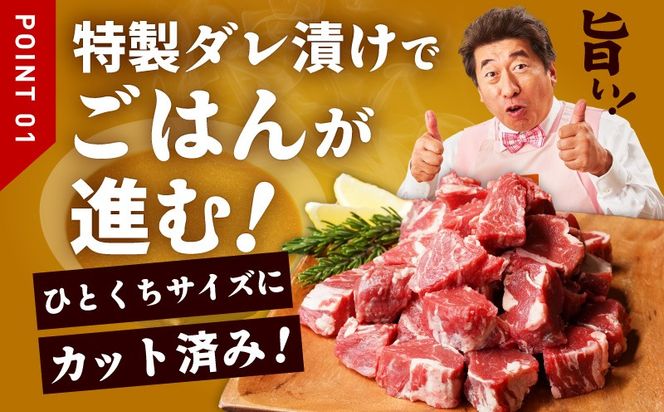 mrzZ008  【定期便】牛ヒレ肉 切り落とし 1.5kg×3回【氷温熟成×特製ダレ 小分け 500g 訳あり サイズ不揃い やわらか ステーキ ひと口サイズ カット済み】