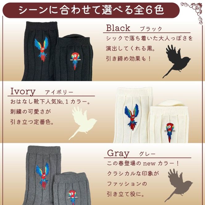 おはなし靴下 ギフトボックス アカコンゴウインコ キッズ グリーン