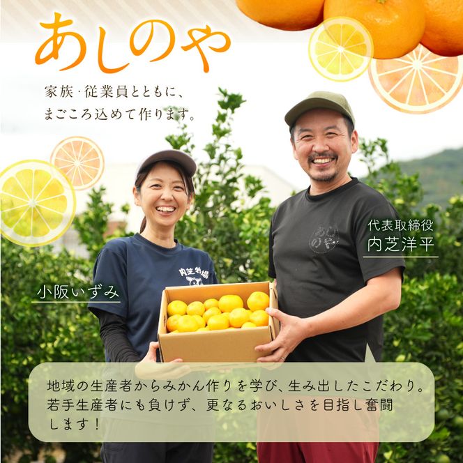 【2026年先行予約】【秀品】和歌山県産　有田みかん 約3kg （S～Ｌサイズ混合）【まごころ手選別】_ZE6483