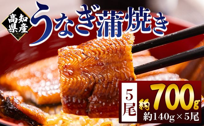 高知県産蒲焼きうなぎ 約１４０ｇ ５尾 計約７００ｇ fb-0147