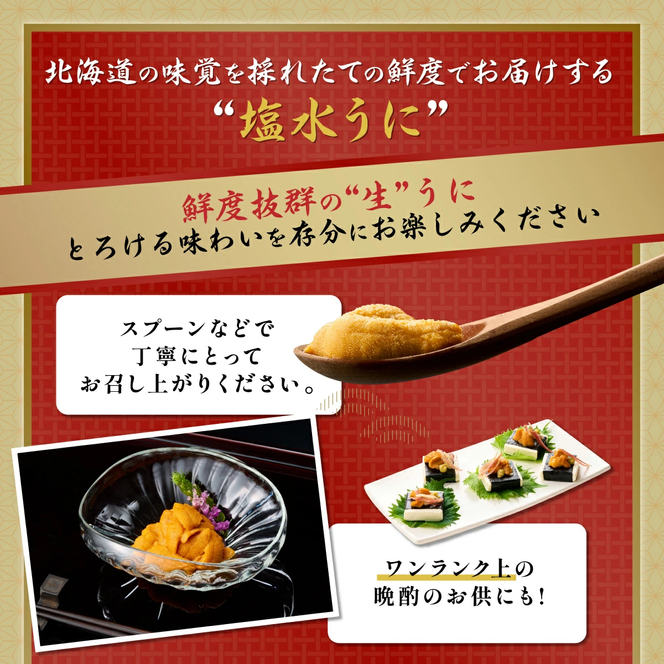 無添加　極上エゾバフンウニ塩水パック 100g　配送期間B：10月下旬～11月下旬迄 [mh-0462_B]