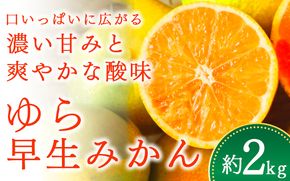 ＼光センサー選別／＼農家直送／甘くて濃厚！希少品種 ご家庭用 ゆら早生みかん　約2kg　サイズ混合【2026年10月上旬頃より順次発送】【nuk143D】