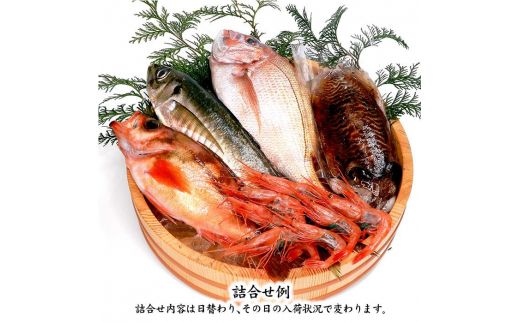 石川県・加賀市 旬の鮮魚 ( 刺身用/下処理済 ) 詰合せ 4～5種 復興　震災　コロナ【能登半島地震復興支援】 北陸新幹線 F6P-0974