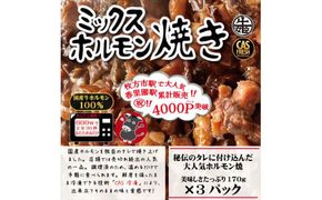 ＜チンするだけ！＞【秘伝のタレ漬け】国産牛ミックスホルモン焼き510ｇ（170ｇ×3パック）［鮮度を保つCAS冷凍］ 【 大阪府 門真市 】 272230_AS021