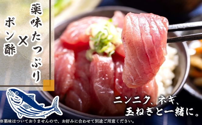 【12回定期便】本場高知の鰹の刺身 スライス(100g×8袋) - 定期便 国産 食べやすいスライス 上質な脂 カツオ かつお 小分けパック 海鮮 新鮮 魚介 産地直送 竜馬 龍馬の海鮮隊 野島水産 高知県 香南市 冷凍 Wnz-0045