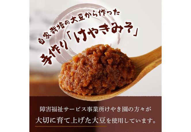 手作り　無添加　けやきみそ　1kg(500g×2個) みそ 大豆 無添加 米麹 食塩 手作り 味噌 無添加 大豆 食塩 山梨 富士吉田
