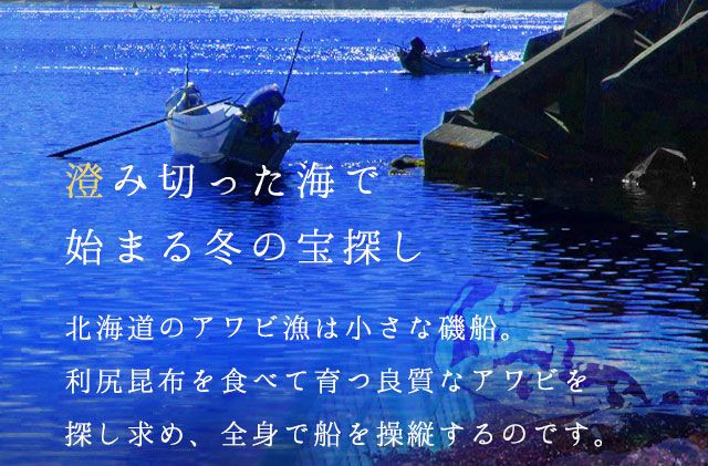 礼文島産 凍結島アワビ Lサイズ 5個 魚貝類 魚介類 鮑利尻昆布 良質 瞬間冷凍 磯の香り コリコリ 獲れたて 甘い 贈り物 
