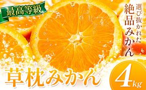 ＜先行予約＞草枕みかん 約4kg 《11月上旬-12月上旬頃出荷》熊本県 長洲町 フルーツ 柑橘 みかん ミカン 草枕 デザート 送料無料---ng_ksm_ad11_26_10000_4kg---