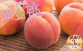 FYN9-830 ≪2026年先行予約≫ ご家庭用 山形県産 無袋(ムタイ) 黄金桃 約3kg( 7～13玉) 2026年8月中旬から順次発送 黄桃 黄色 桃 もも モモ 果物 くだもの 夏果実 フルーツ 訳あり 農業者支援 家庭用 自宅用 産地直送 山形県 西川町 月山