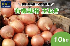 【予約：2026年10月から順次発送】農薬・動物性たい肥不使用 有機栽培 玉ねぎ 10kg ( 玉ねぎ たまねぎ 玉葱 タマネギ オニオン 野菜 サラダ 煮込み 炒め物 10キロ )【178-0001-2026】