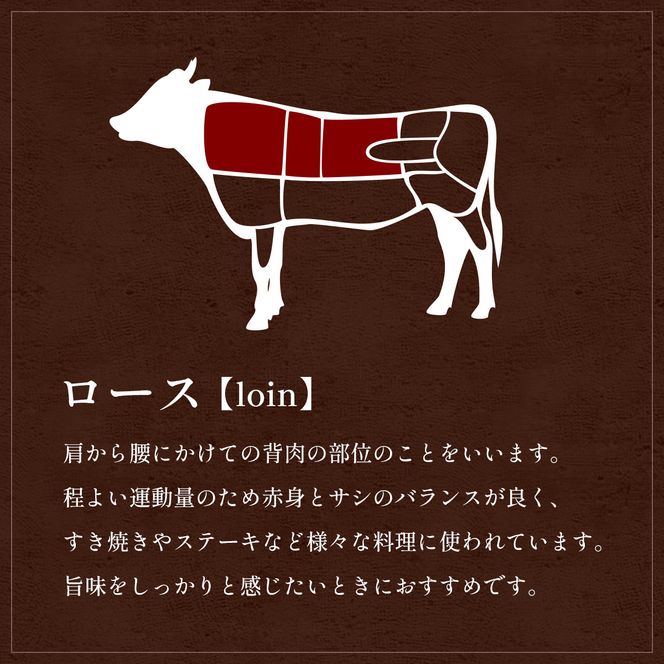 肉【和牛セレブ】能登牛 牛ロース すき焼き・しゃぶしゃぶ 200g ロース 黒毛和牛 霜降り ギフト 石川県 能美市 172111_DB009