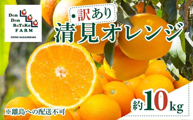 【訳あり】清見オレンジ 約10kg ※離島への配送不可 IKTAU011