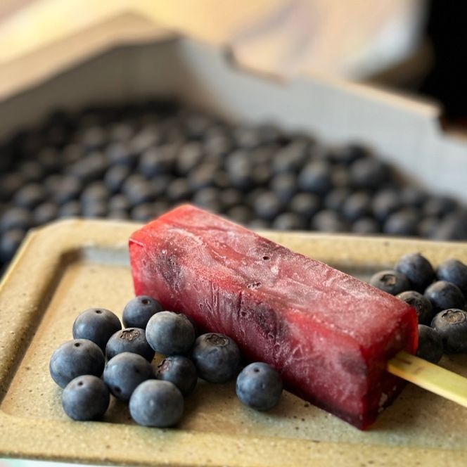 伊賀彩菓　くずよせ　５種類１０本保冷バック入り 242161_EX002