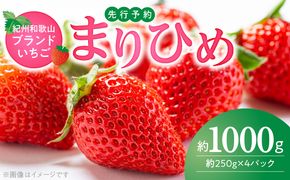 G7346_【2027年先行予約】 紀州和歌山ブランド いちご まりひめ 250g×4P