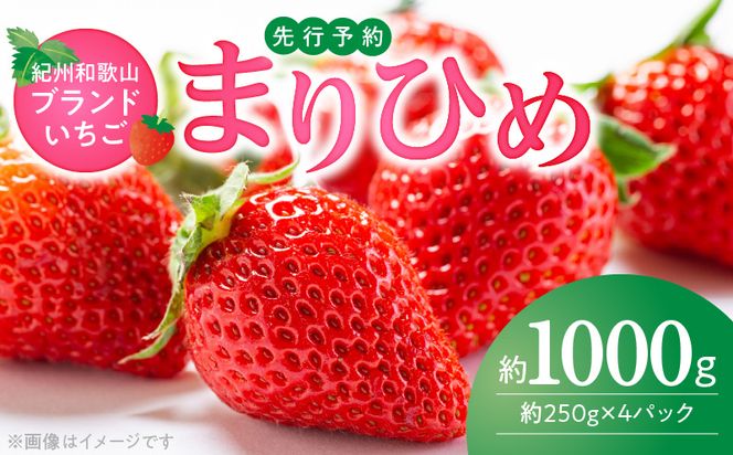 G7346_【2027年先行予約】 紀州和歌山ブランド いちご まりひめ 250g×4P