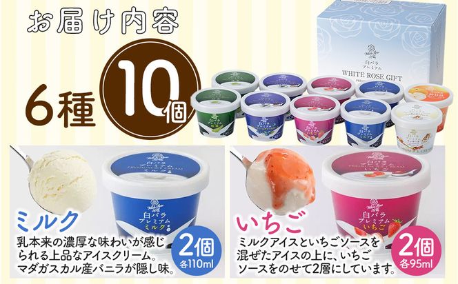 1077.収穫祭10個入 313726_AH018