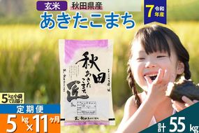 【玄米】＜令和7年産＞ 《定期便11ヶ月》秋田県産 あきたこまち 匠 5kg (5kg×1袋)×11回 5キロ お米 |02_snk-020311s