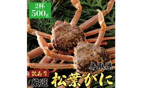 1057.【2025年12月～2026年1月発送】特撰 松葉がに（なま）【訳あり】500g超のサイズ 食べ応えあり 2杯 313726_BS035