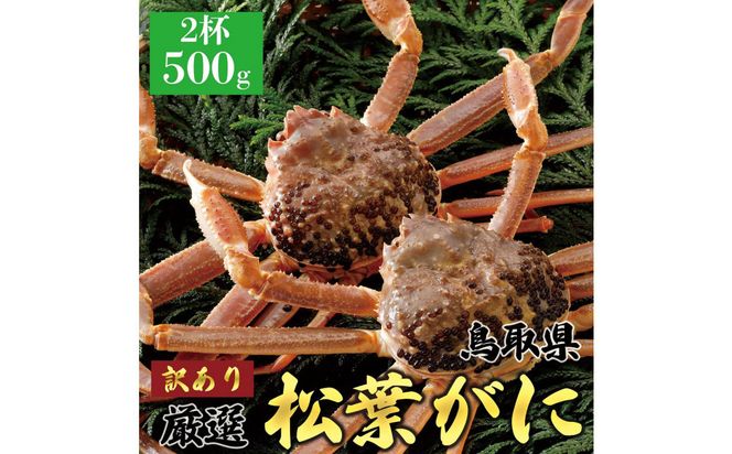 1057.【2027年1月～2027年3月発送】特撰 松葉がに（なま）【訳あり】500g超のサイズ 食べ応えあり 2杯 313726_BS035