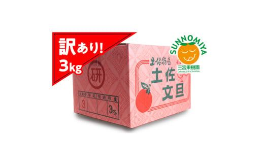 【先行予約】三宮果樹園の土佐文旦 訳あり 3kg〈2027年2月14日～2027年3月15日発送〉ぶんたん ブンタン 3キロ 6玉前後 フルーツ 柑橘 みかん 果物 くだもの 柑橘類 デザート ご自宅用 ご家庭用 自分用 お取り寄せ 高知県 土佐市【三宮果樹園】[BQAP006]