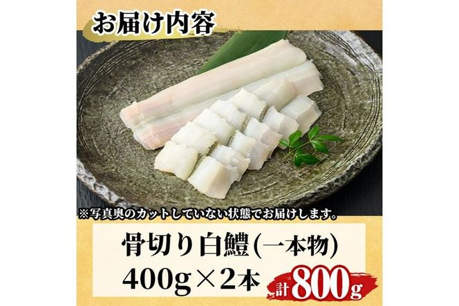 骨切り 白鱧 (計800g・400g×2本) 骨切り済 ハモ はも 天ぷら しゃぶしゃぶ フライ 小分け 冷凍 魚介類 鍋 国産 宮崎県 門川町【O-7】【門川漁業協同組合】