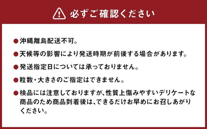 紅ほっぺ 1箱 2パック（合計540g以上） ※2026年1月下旬～4月下旬頃に順次発送予定 | いちご 苺 フルーツ 果物 くだもの 果実 完熟 冷蔵 守谷市産 茨城県 守谷市