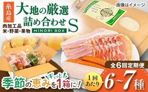【全6回定期便】糸島産 肉 米 野菜 果物 厳選詰め合わせ MINORI BOX Sサイズ 糸島市 / emma.Inc / 米 肉 野菜 果物 詰め合わせ[AOP009]