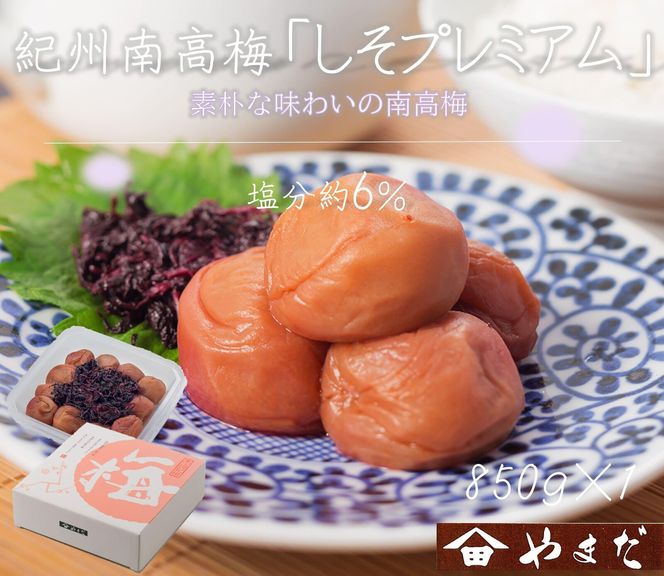 【定期便・2ヵ月毎 全5回】紀州南高梅 しそプレミアム 850g ［YM14］ 303446_DX90029