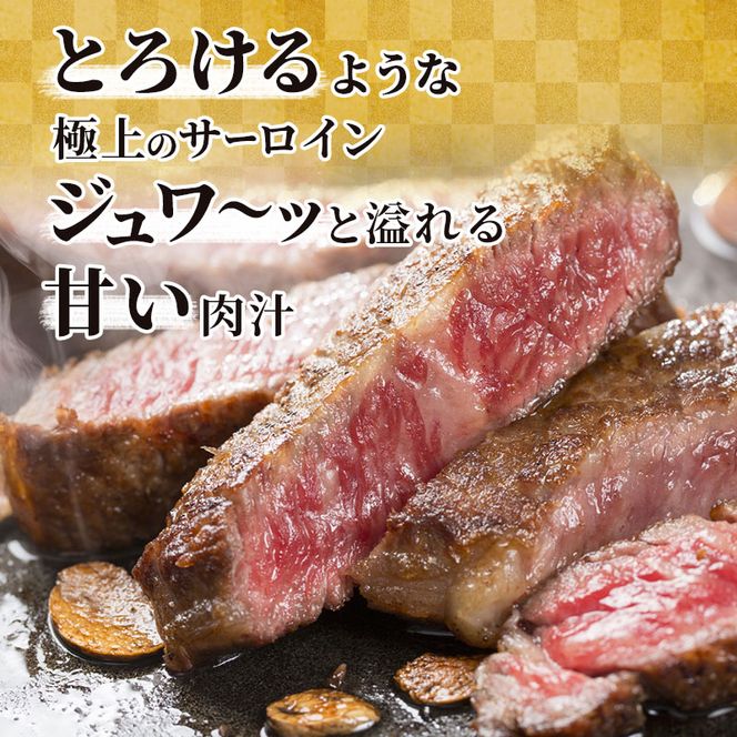 ふるさと納税　飛騨牛 牛肉 ステーキ サーロイン 250g×6枚 計1.5kg A5 和牛 