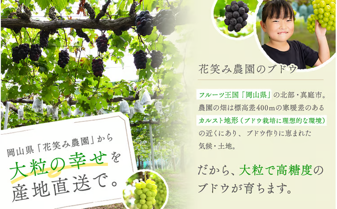 【2026年先行予約】ぶどう 訳あり 花笑み農園の シャインマスカット 1kg / ぶどう ブドウ 葡萄 岡山 シャインマスカット 先行予約 フルーツ 果物 真庭市 【hana035-02】