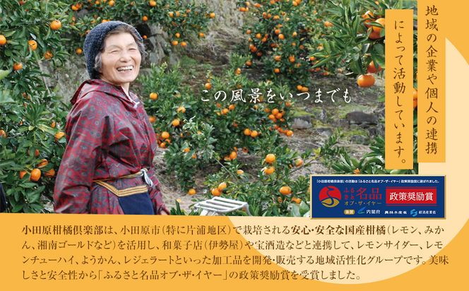 【小田原のフルーツ果汁を使ったドロップ3種類×2個セット】口に入れるとフルーツの香りが広がるドロップ。【 ドロップ 神奈川県 小田原市 】 142069_CW057