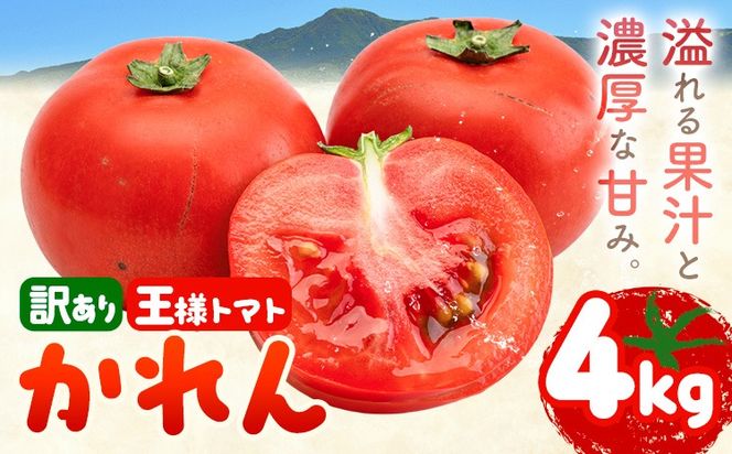【大津アグリラボ】王様トマト かれん 訳あり 約4kg 株式会社中九州クボタ《10月上旬-6月下旬頃出荷》熊本県 大津町 トマト 野菜 訳アリ ご家庭用 傷あり サイズ 不揃い 規格外---oz_nkb_6_4kg---