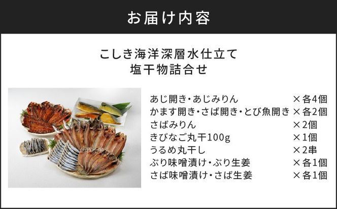 こしき海洋深層水仕立て 塩干物 12種 詰め合わせ（FS-02）　K065-002