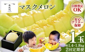 【２回定期便】一果相伝マスクメロン贈答用 1玉入り めろん 青肉 自宅用 ジューシー 果汁 至福 美味しい 甘い あまい 篤農 産地直送 高知県 香南市 常温 Wtn-0058
