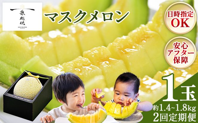 【２回定期便】一果相伝マスクメロン贈答用 1玉入り めろん 青肉 自宅用 ジューシー 果汁 至福 美味しい 甘い あまい 篤農 産地直送 高知県 香南市 常温 Wtn-0058