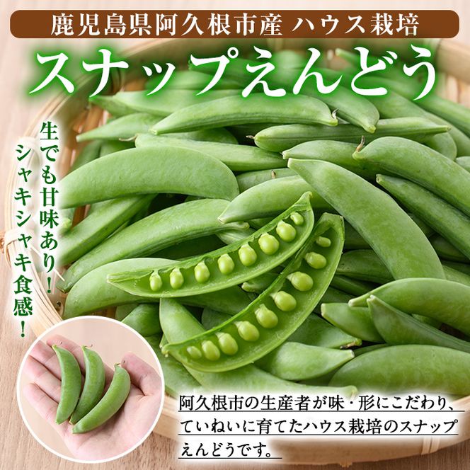 ＜先行予約受付中！2027年1月上旬以降順次発送予定＞ 期間限定！スナップえんどう (計1.5kg) 国産 鹿児島県産 ハウス栽培 野菜 豆 スナックエンドウ 【東新グリーンファーム合同会社】akn062-02