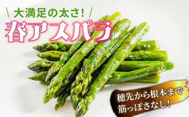 【2026年3月～発送】【数量限定】甘い！柔らかい！【星のアスパラ】グリーン アスパラガス 約1kg / アスパラ あすぱら あすぱらがす 採れたて 新鮮 旬 産地直送 野菜 / 南島原市 / ほしのYA [SEY001]