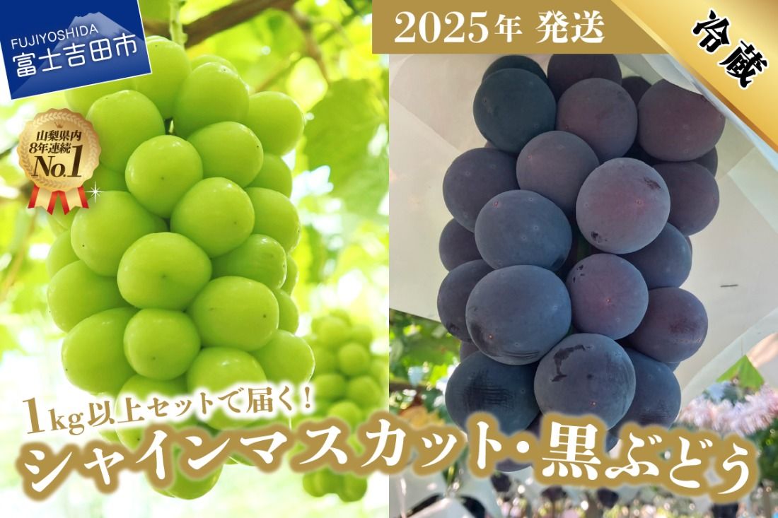 [2025年発送]ジューシーで甘さ抜群 池田青果の厳選 シャインマスカットとぶどうセット (約1kg以上) シャインマスカット 山梨県産 ぶどう 果物 フルーツ 旬 高級 山梨 富士吉田 フルーツ 富士吉田市