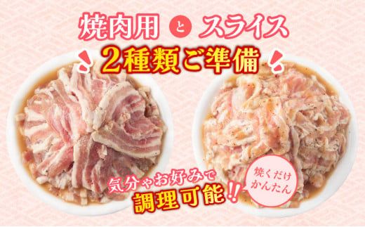 塩ダレ スタミナ 豚肉セット 1200g 国産 豚肉 焼肉 味付 味付豚 簡単調理 焼くだけ BBQ 野菜炒め パスタ 塩やきそば 蒸し焼き サムギョプサル