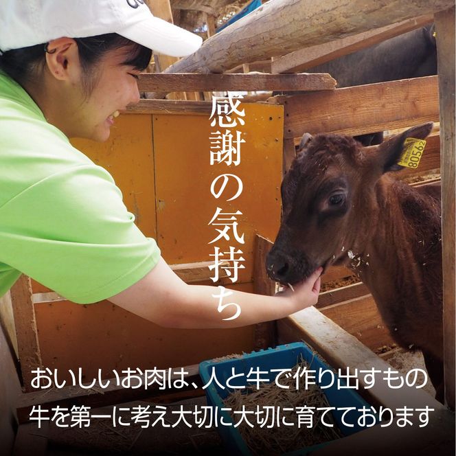牛肉 京都もり牛 和牛 ホルモン 1kg 小分け 京都府産 国産 国産牛 黒毛和牛